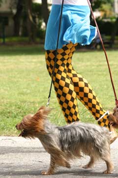 Patterned Halloween Tights.