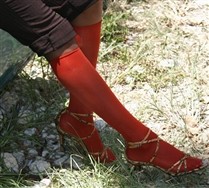 Solid Color Knee Highs and Hosiery