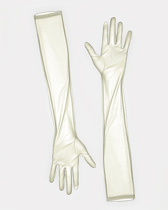 3207 Sheer Gloves Ivory
