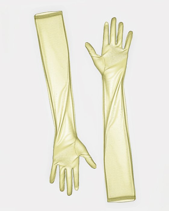 3207 Sheer Gloves Maize