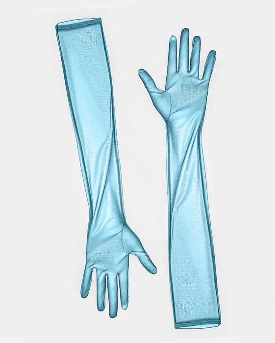 3207 Sheer Gloves Teal