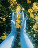 3607-skyblue-seamless-gloves.jpeg